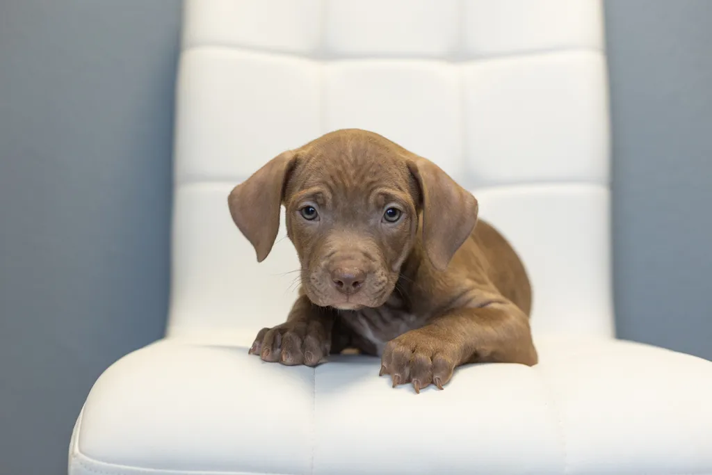 Rescue Photography in 2021, photo 78 of 89
