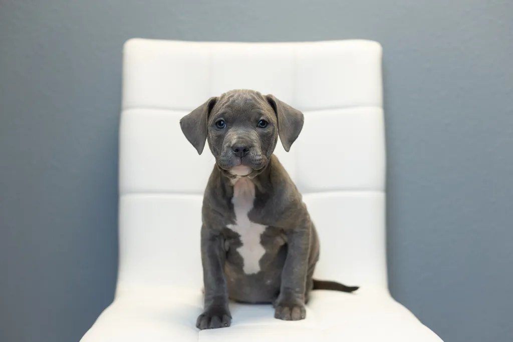 Rescue Photography in 2021, photo 81 of 89