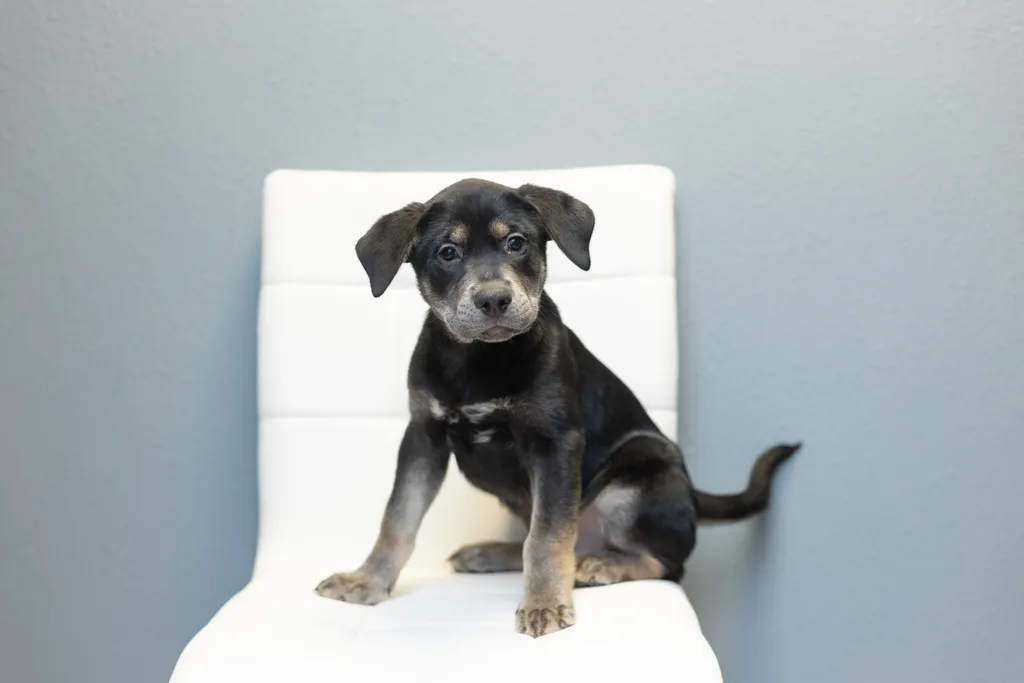 Rescue Photography in 2021, photo 88 of 89