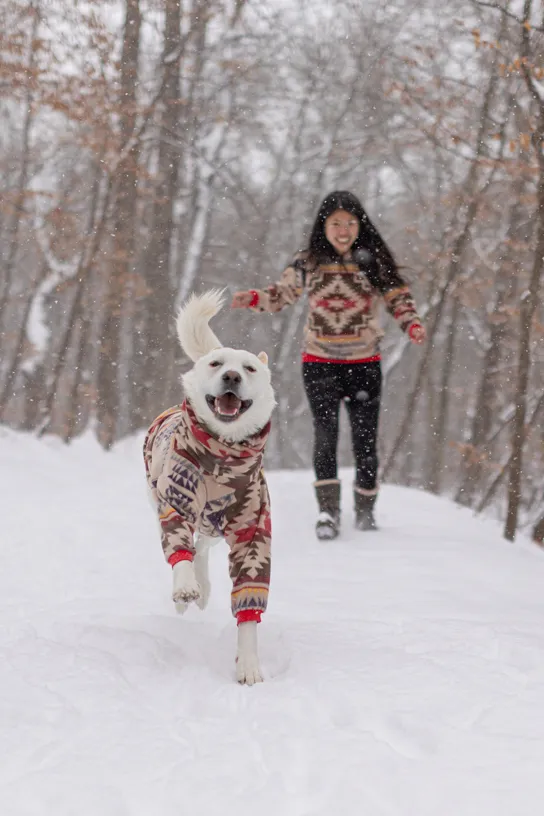 White dog in a patterned sweater running through snow with a woman in a matching sweater behind