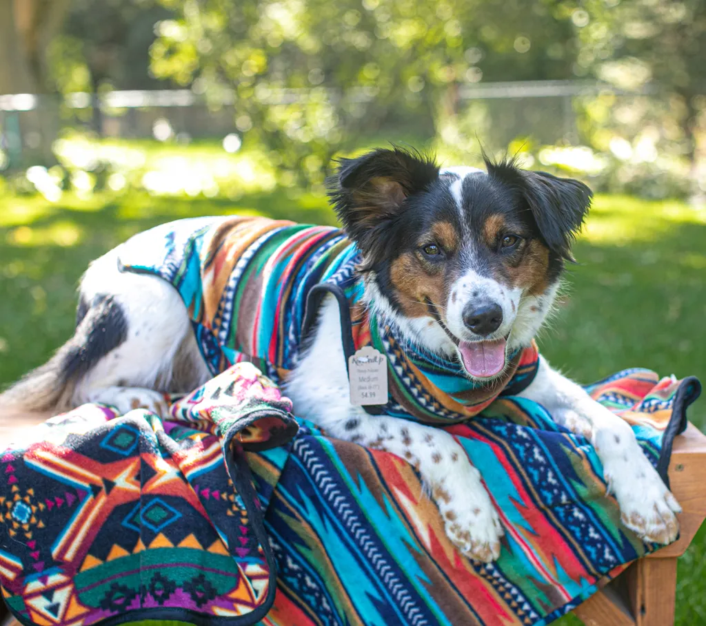 Pet Product photography, photo 6 of 65