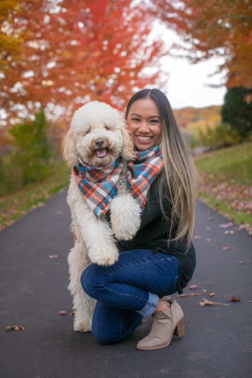 Pet Product photography, photo 10 of 65