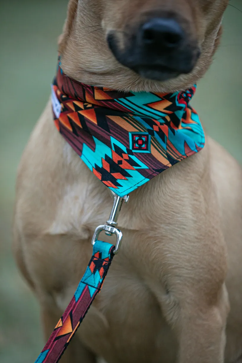 Pet Product photography, photo 14 of 65