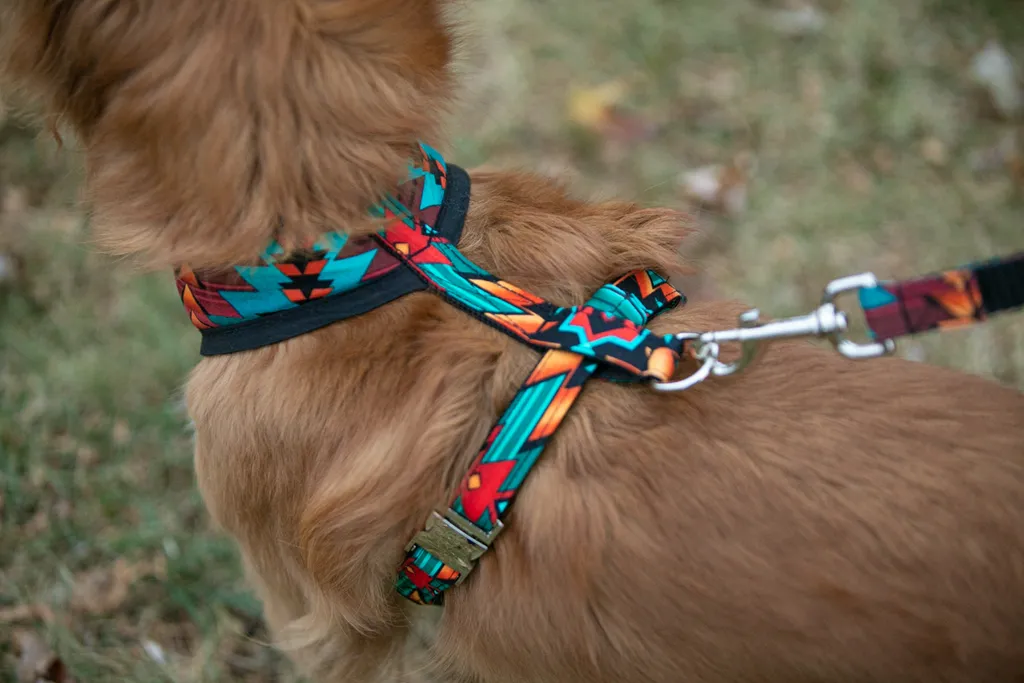 Pet Product photography, photo 43 of 65