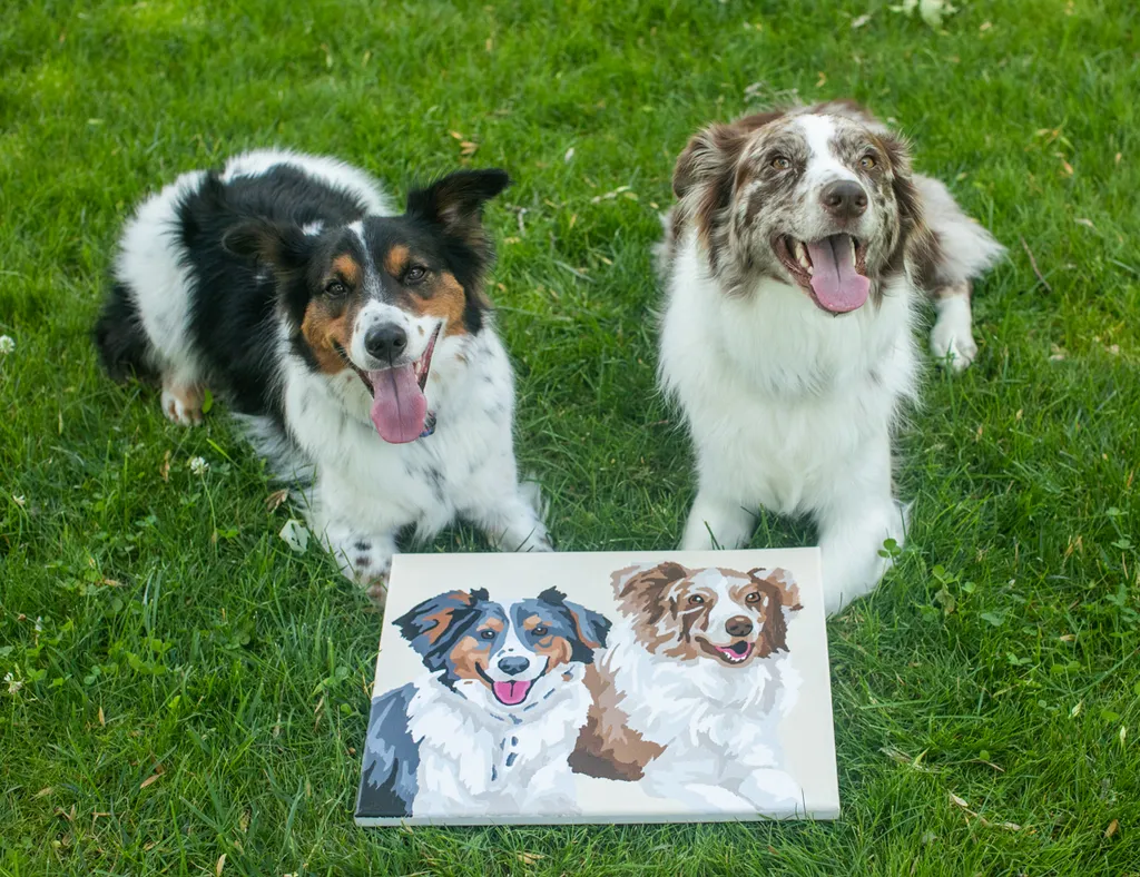 Pet Product photography, photo 61 of 65