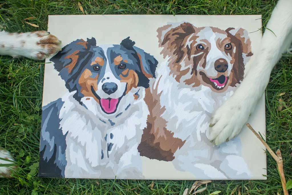 Pet Product photography, photo 62 of 65