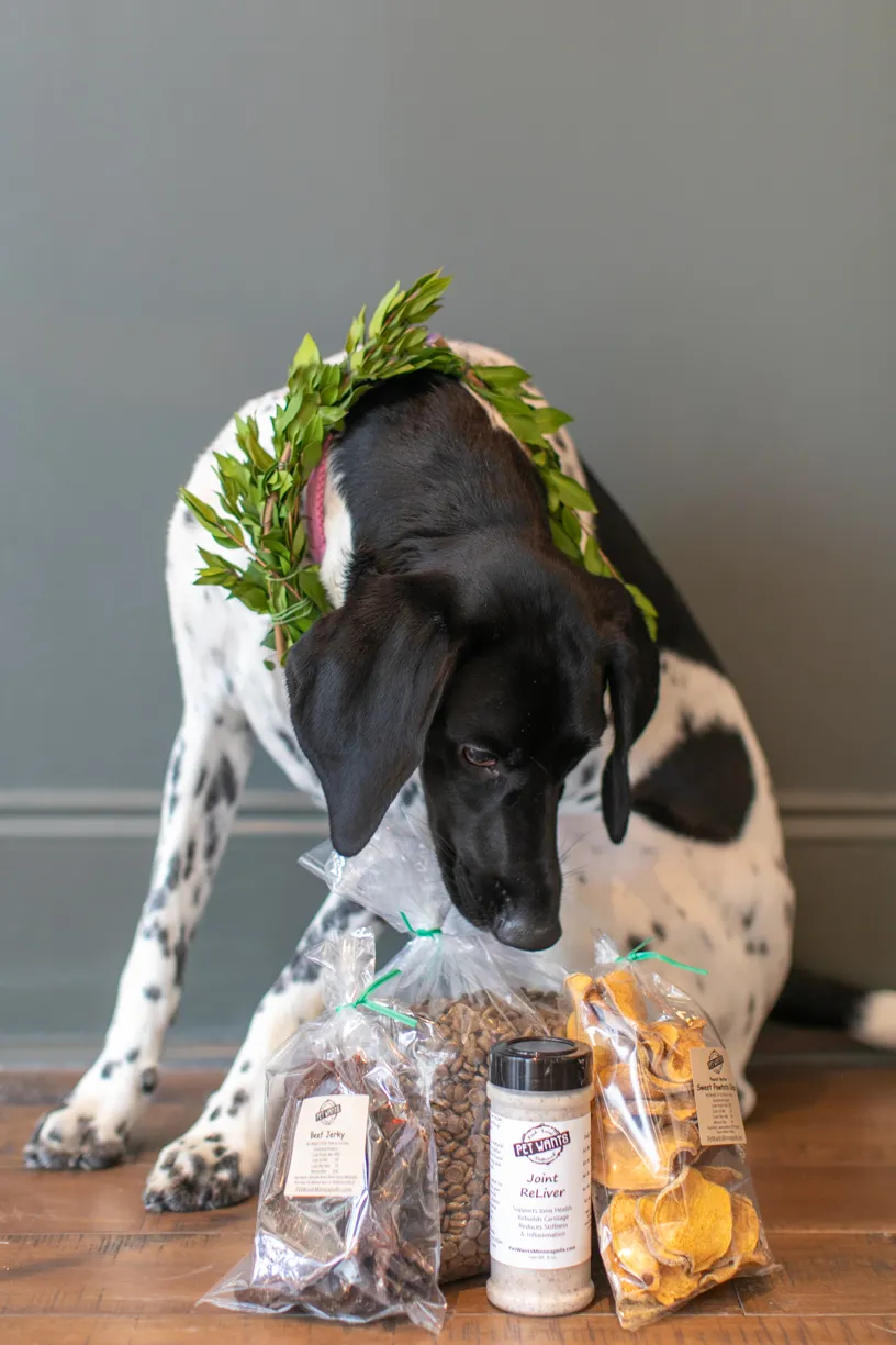 Pet Product photography, photo 55 of 65