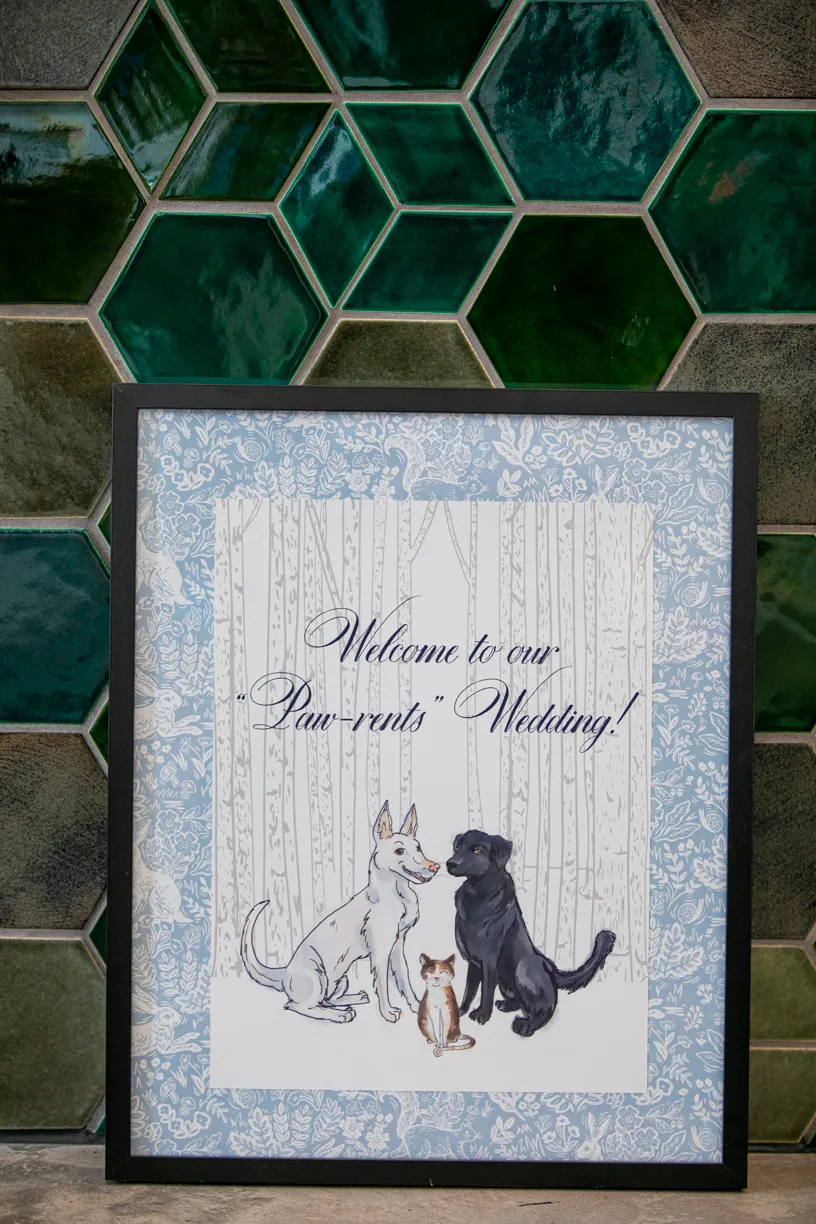 Pet Product photography, photo 65 of 65
