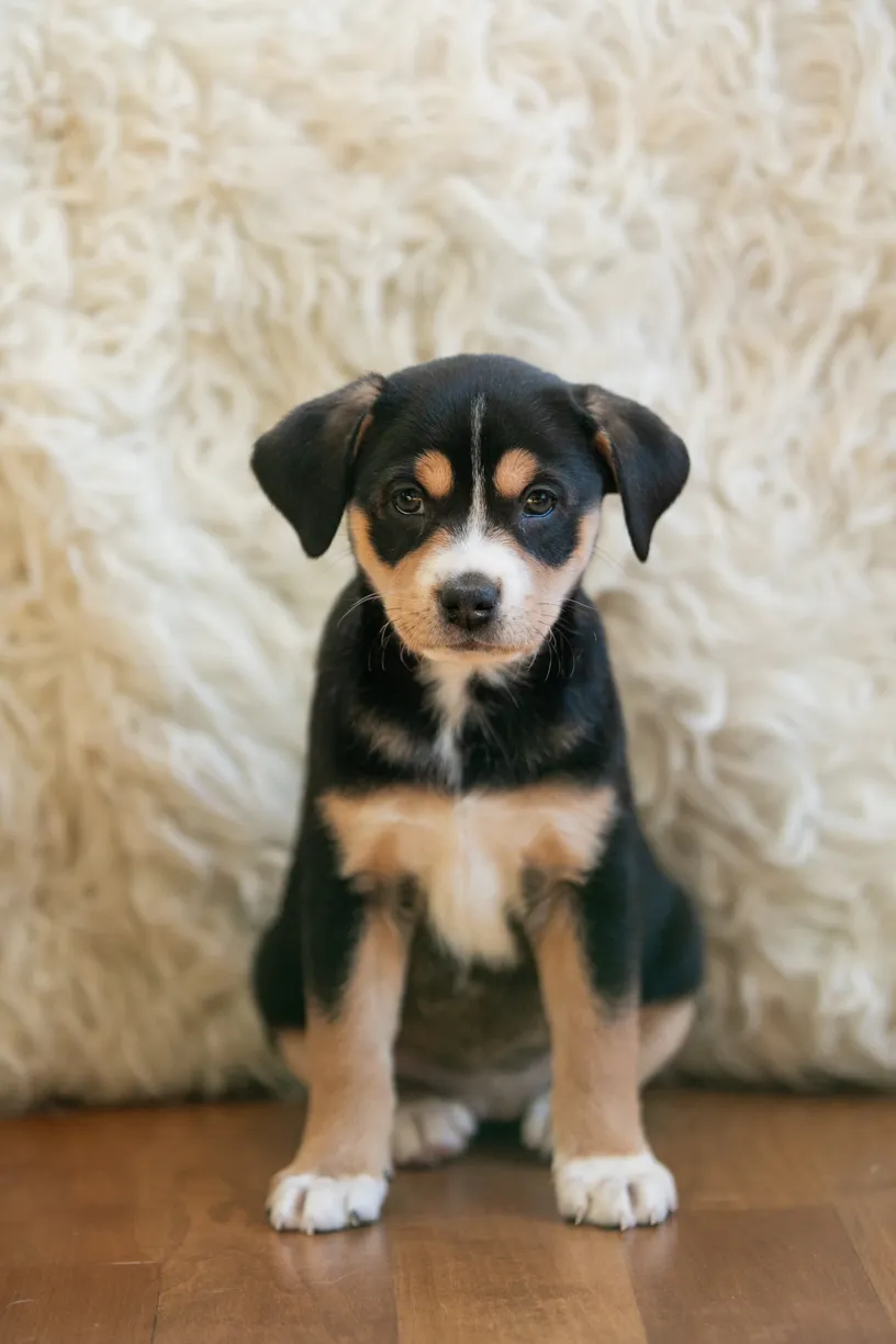 Photo 4 of 53