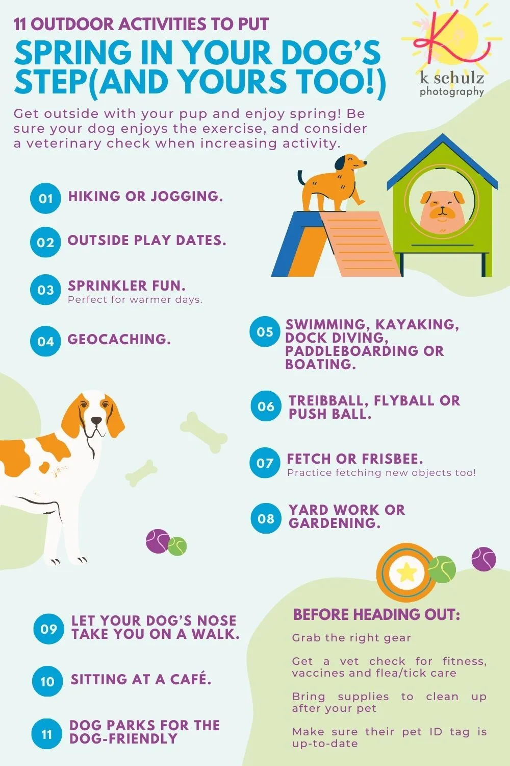 11 Spring Activities with your dog, photo 2 of 2