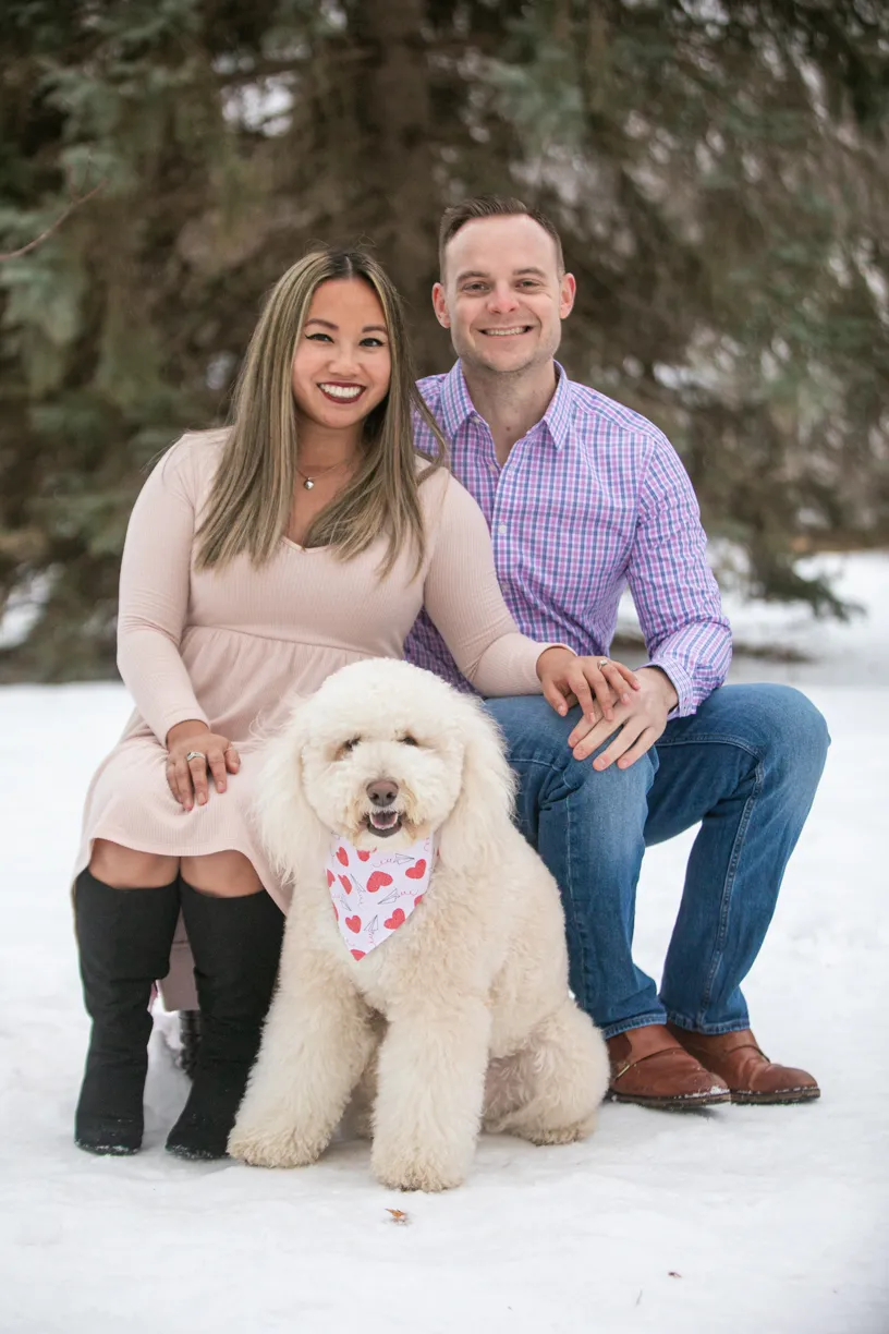 Valentine Minis: Minnesota pet photography, photo 24 of 46