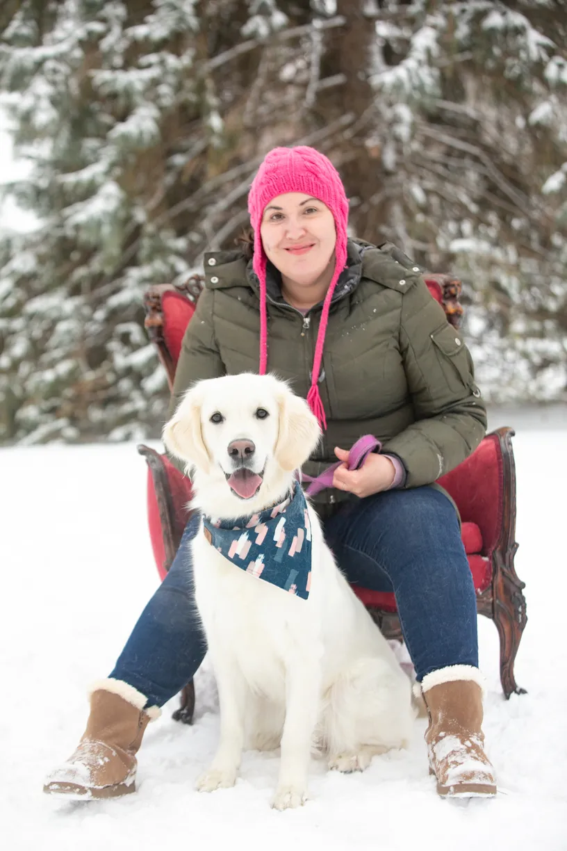 Valentine Minis: Minnesota pet photography, photo 36 of 46