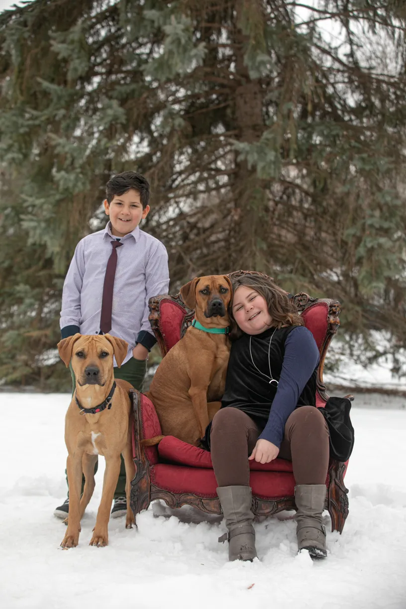 Valentine Minis: Minnesota pet photography, photo 13 of 46