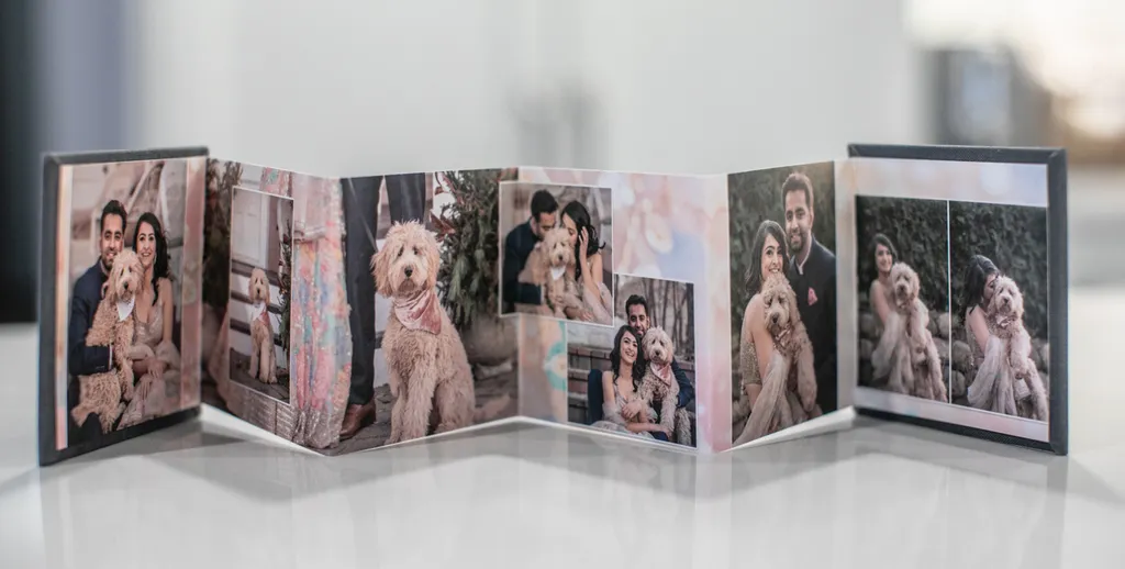 Product spotlight: Accordion albums, photo 9 of 14