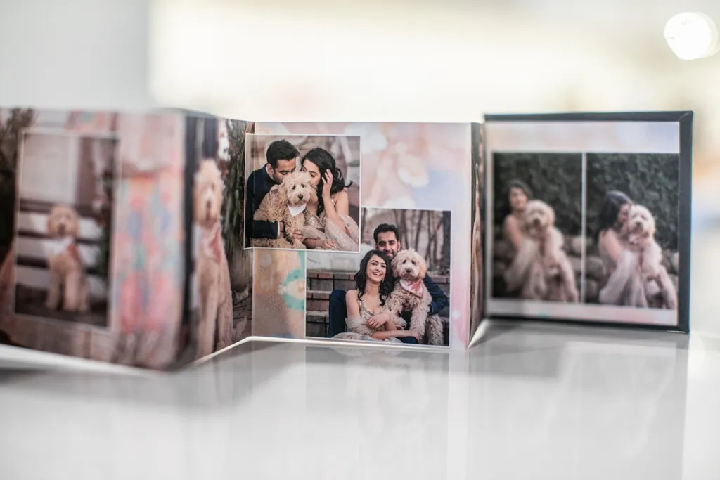 Product spotlight: Accordion albums, photo 10 of 14