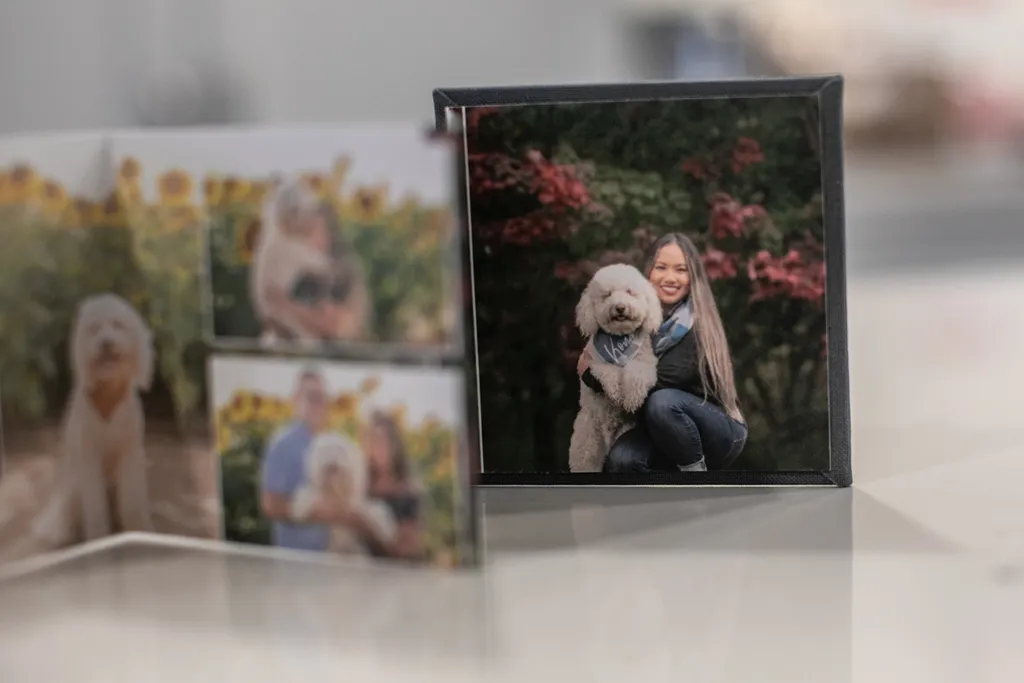 Product spotlight: Accordion albums, photo 12 of 14