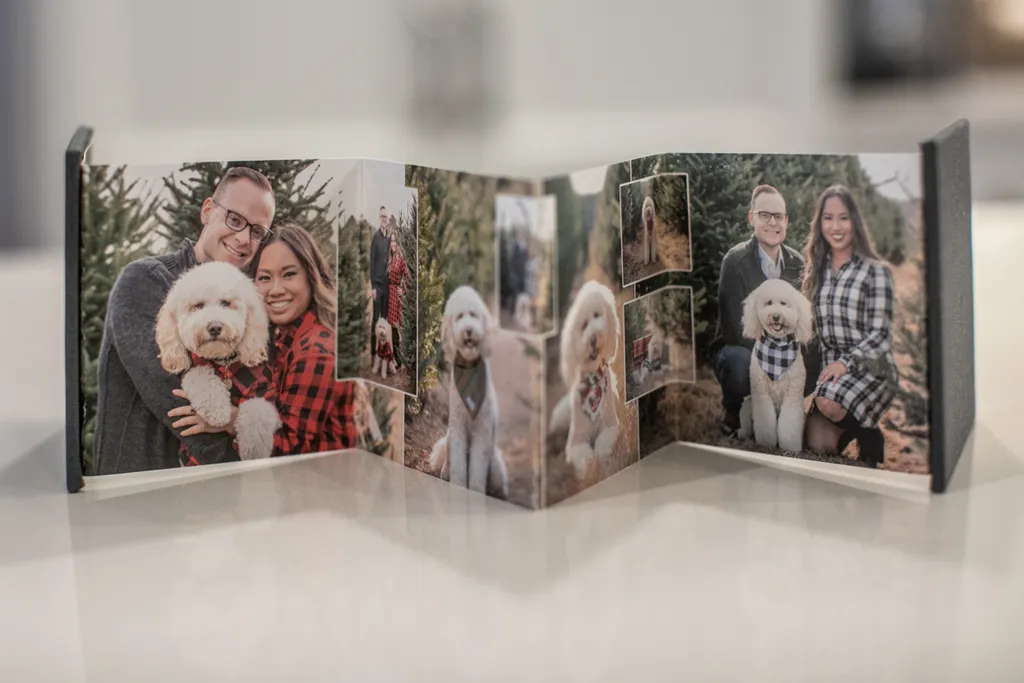 Product spotlight: Accordion albums, photo 13 of 14