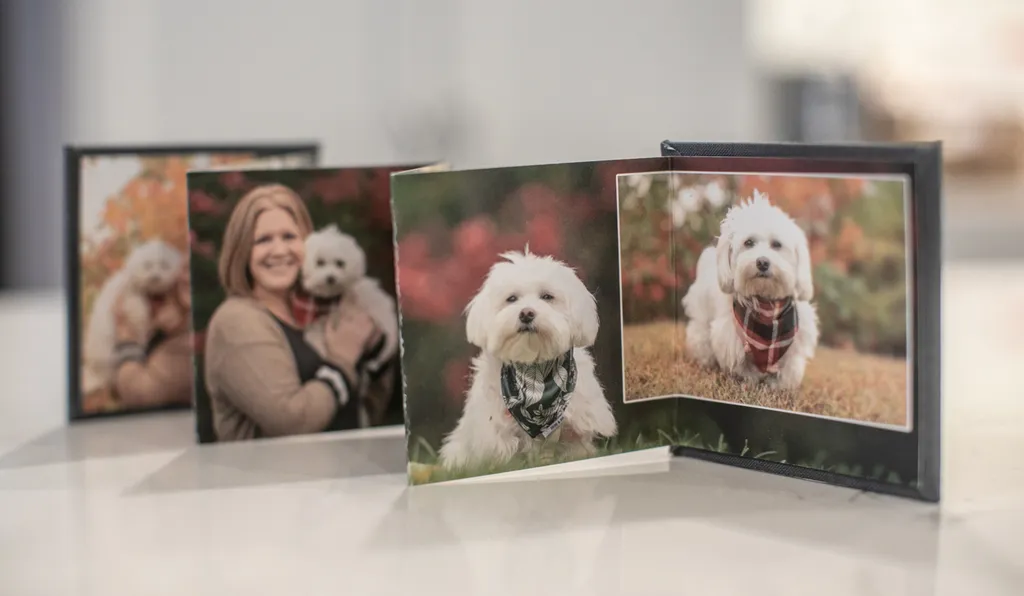 Product spotlight: Accordion albums, photo 11 of 14