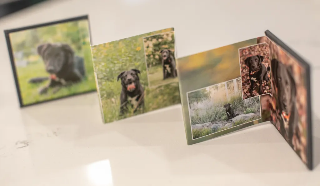 Product spotlight: Accordion albums, photo 2 of 14