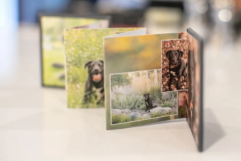 Product spotlight: Accordion albums, photo 3 of 14