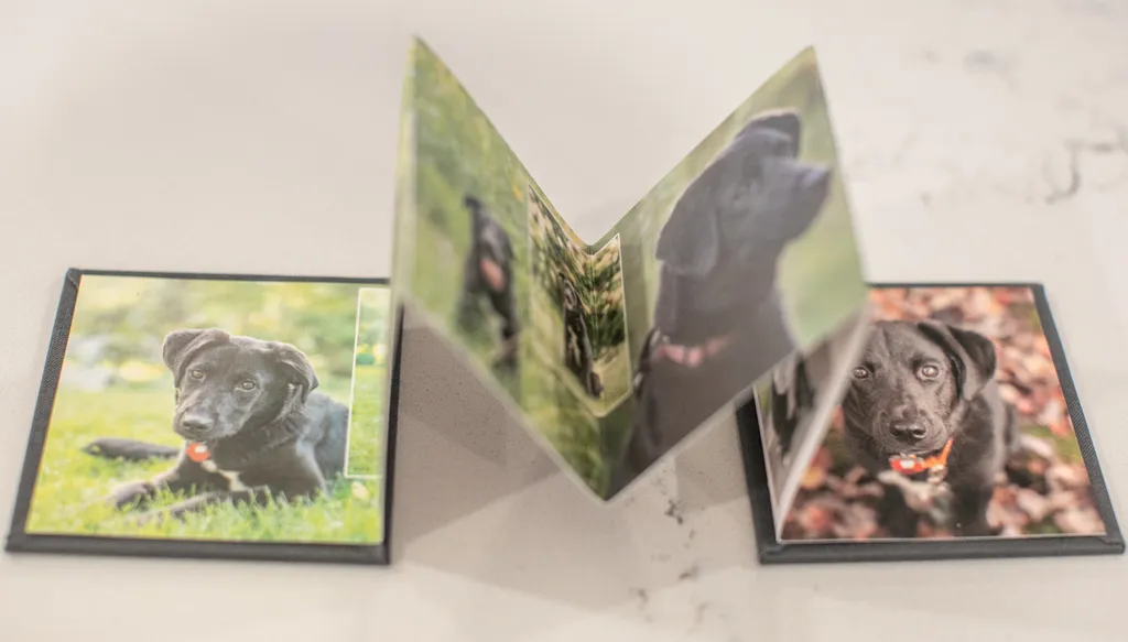 Product spotlight: Accordion albums, photo 4 of 14