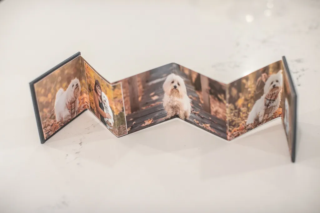 Product spotlight: Accordion albums, photo 5 of 14