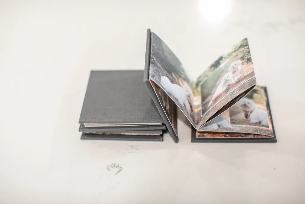 Product spotlight: Accordion albums, photo 6 of 14