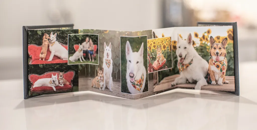 Product spotlight: Accordion albums, photo 7 of 14