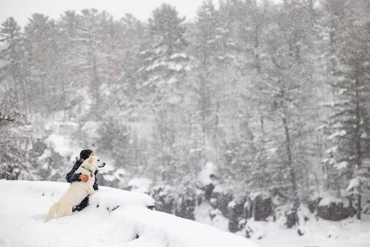 Person and dog sitting on a snowy ridge above a frosted pine forest