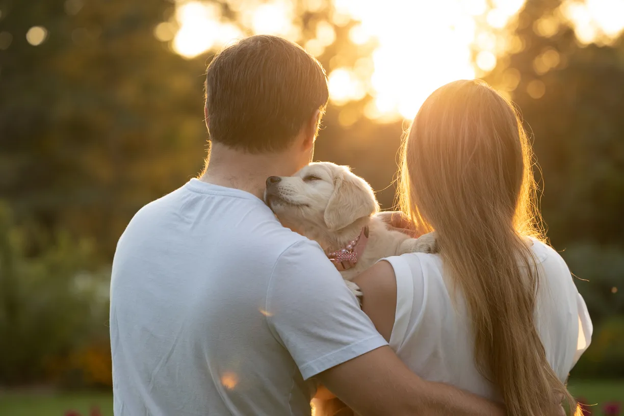 Pet photo 1 of 8 by K Schulz Photography