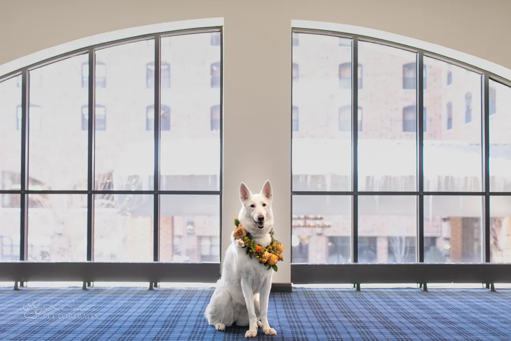 Minneapolis dog friendly venue and vendors, photo 7 of 28