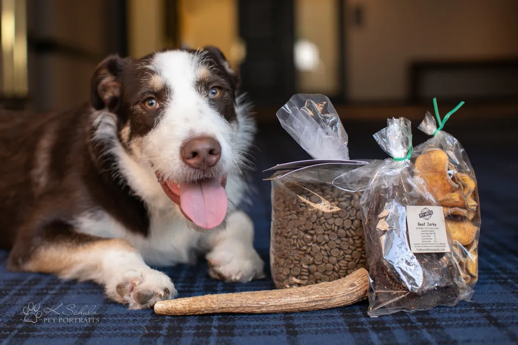 Minneapolis dog friendly venue and vendors, photo 11 of 28