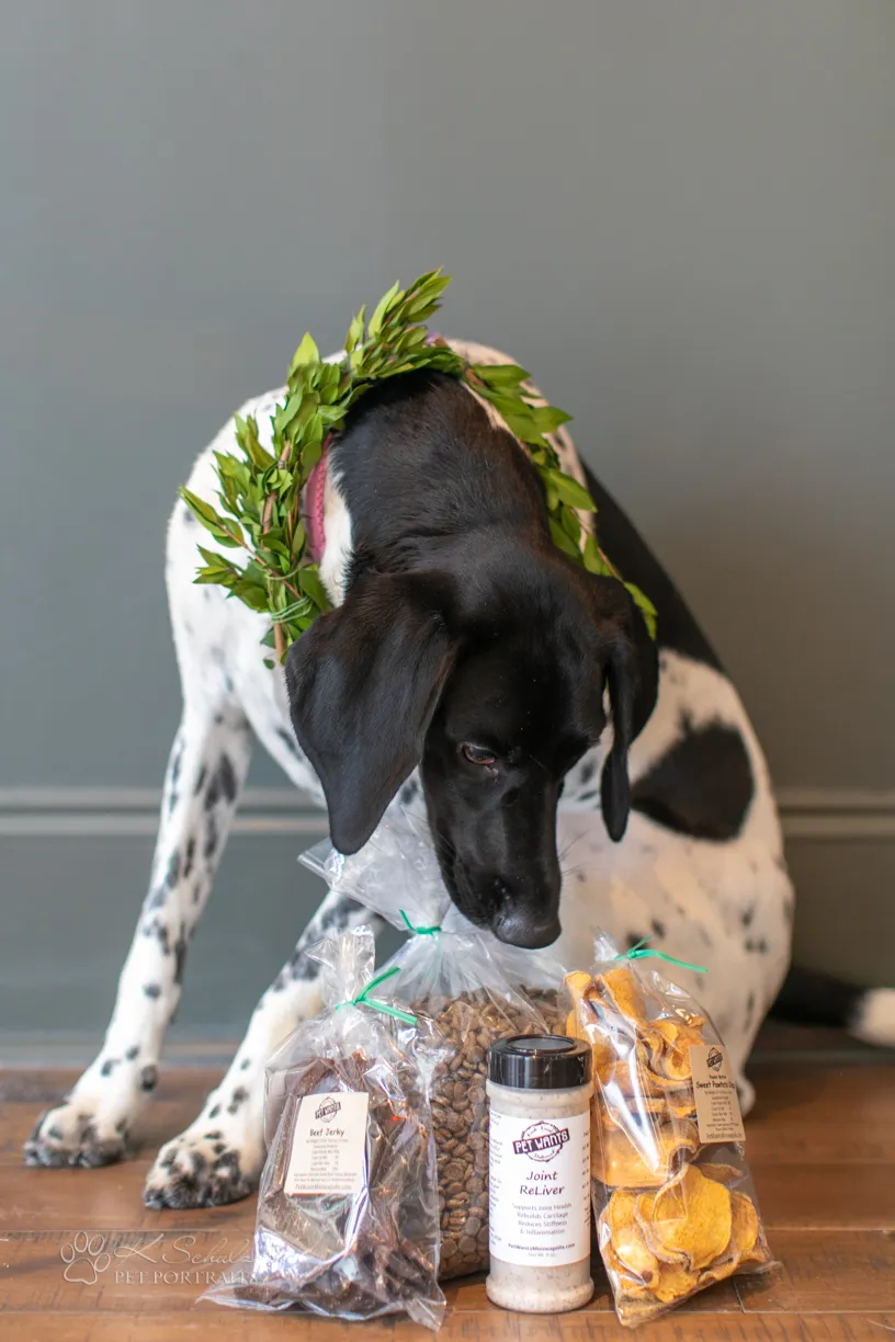 Minneapolis dog friendly venue and vendors, photo 10 of 28