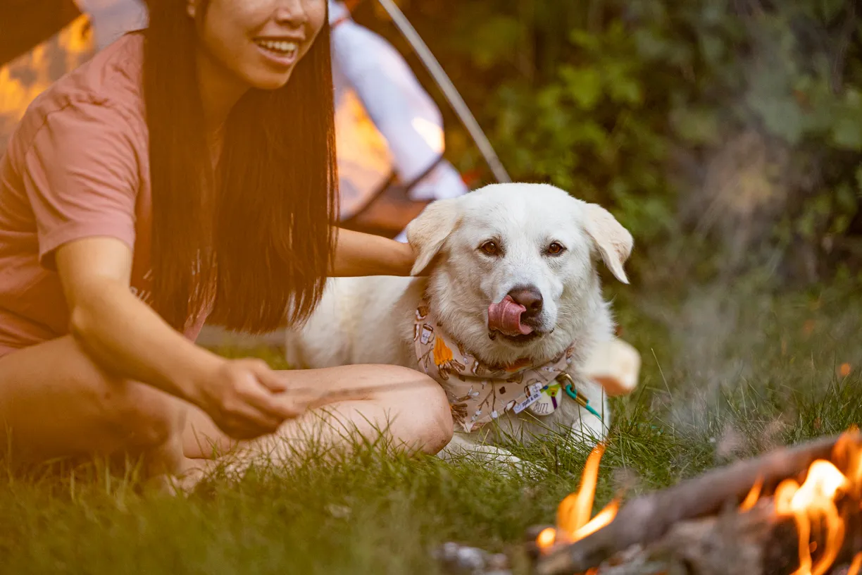 Woman and a white dog in a bandana beside a campfire