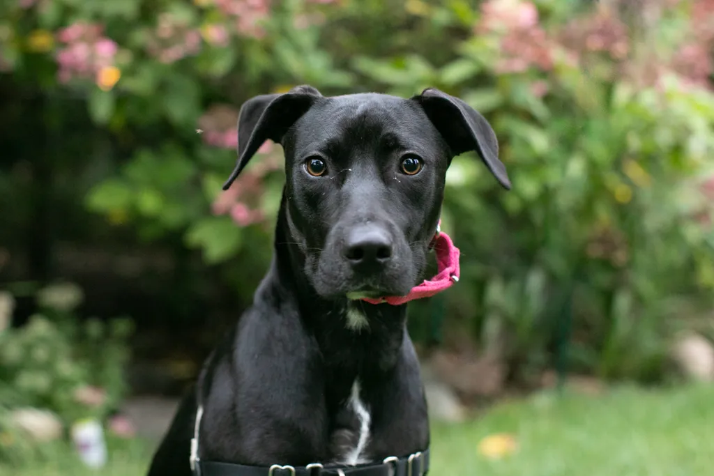 Photo 53 of 93