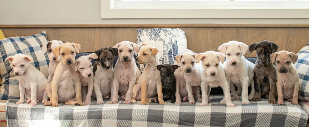 Rescue Photography in 2020, photo 14 of 89