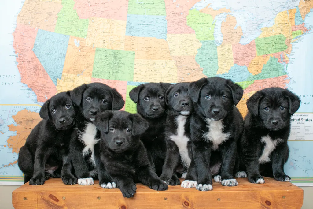 Rescue Photography in 2020, photo 24 of 89