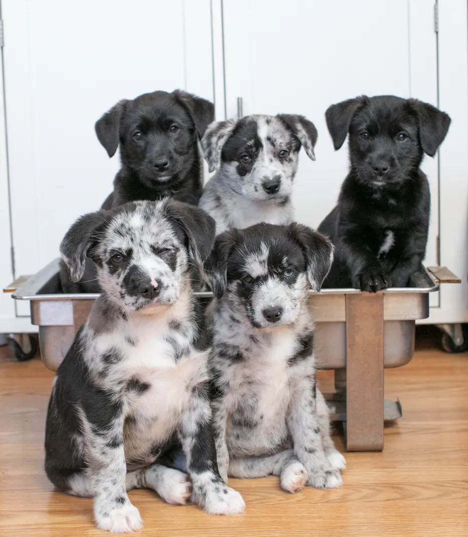 Rescue Photography in 2020, photo 26 of 89