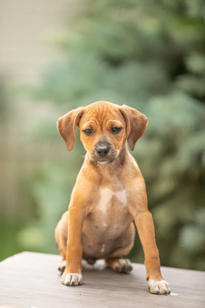 Rescue Photography in 2020, photo 48 of 89