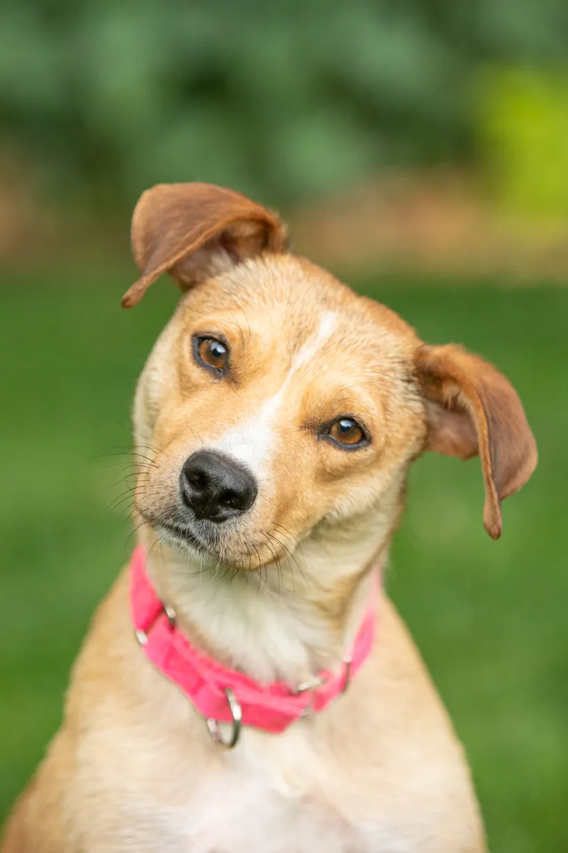 Rescue Photography in 2020, photo 45 of 89
