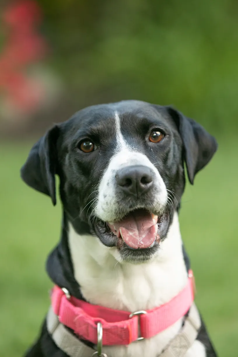 Rescue Photography in 2020, photo 46 of 89