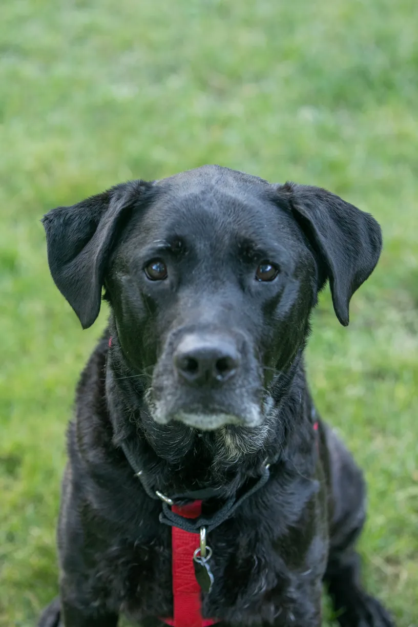 Rescue Photography in 2020, photo 52 of 89