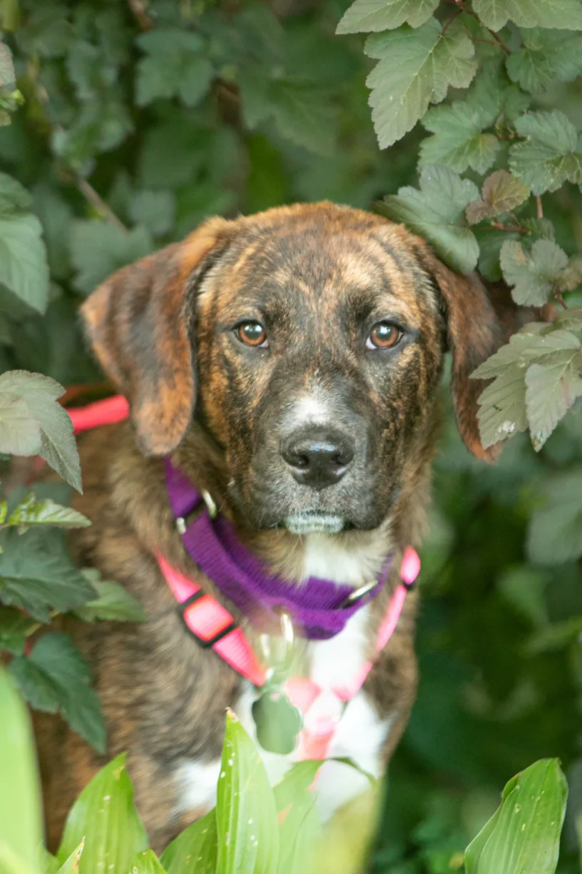 Rescue Photography in 2020, photo 58 of 89