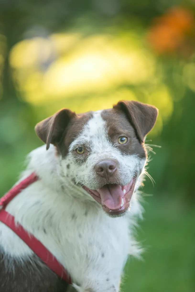 Rescue Photography in 2020, photo 53 of 89