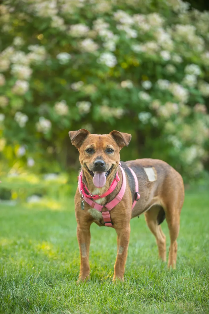 Rescue Photography in 2020, photo 54 of 89
