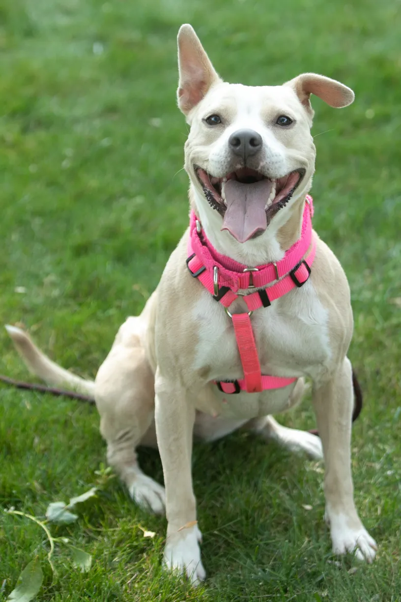 Rescue Photography in 2020, photo 55 of 89