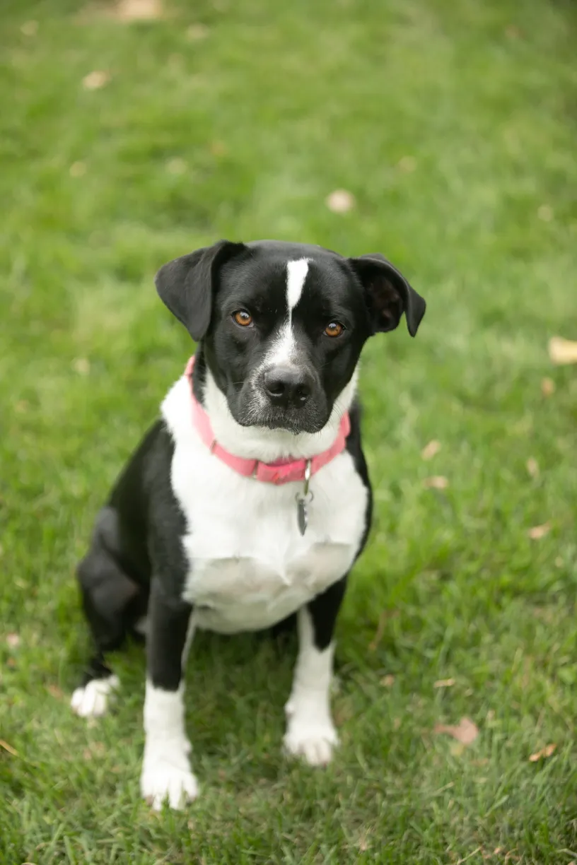 Rescue Photography in 2020, photo 56 of 89