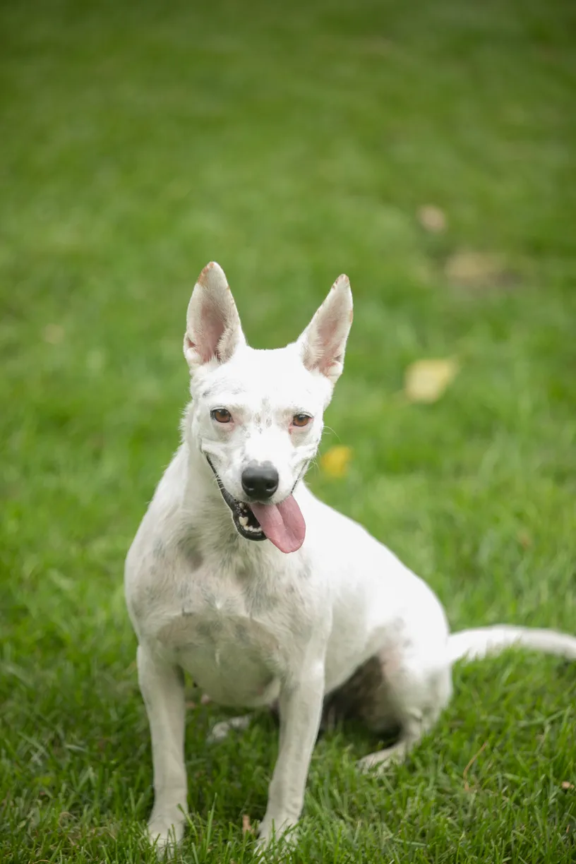 Rescue Photography in 2020, photo 57 of 89