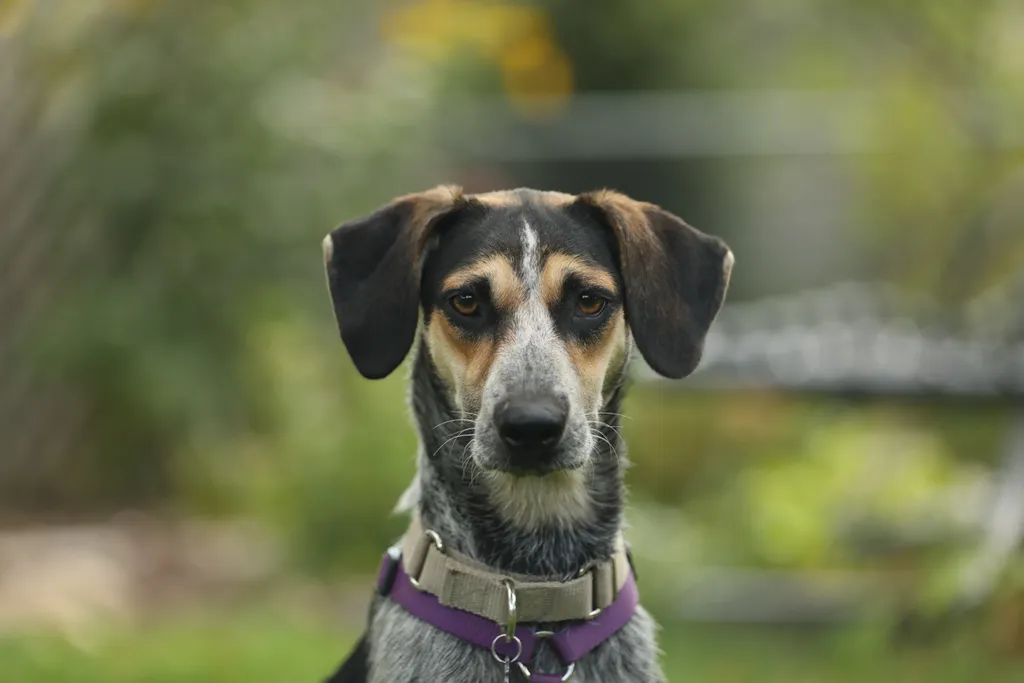 Rescue Photography in 2020, photo 65 of 89