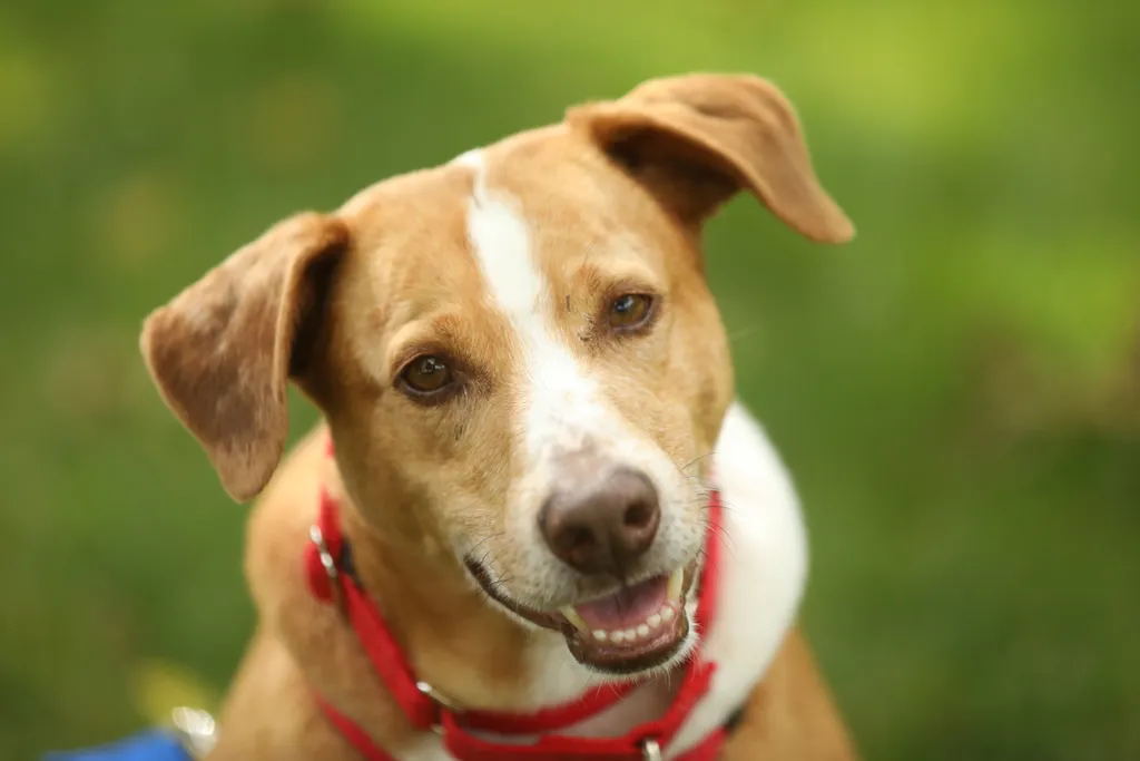 Rescue Photography in 2020, photo 66 of 89